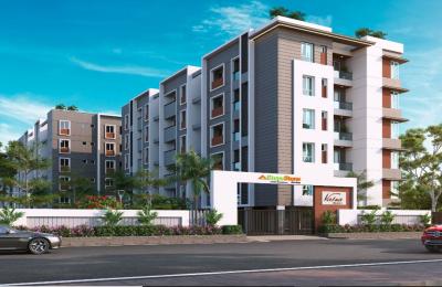 Stepsstone Vatsa Amaze